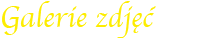 Graficzny napis: galeria zdjęć
