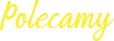 Graficzny napis: polecamy